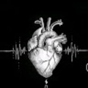 Meet your Posher, Henry